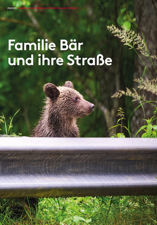 WIENER #468 – Familie Bär und ihre Straße: mit dem Audi e-tron GT über die Transfogarascher Hochstraße