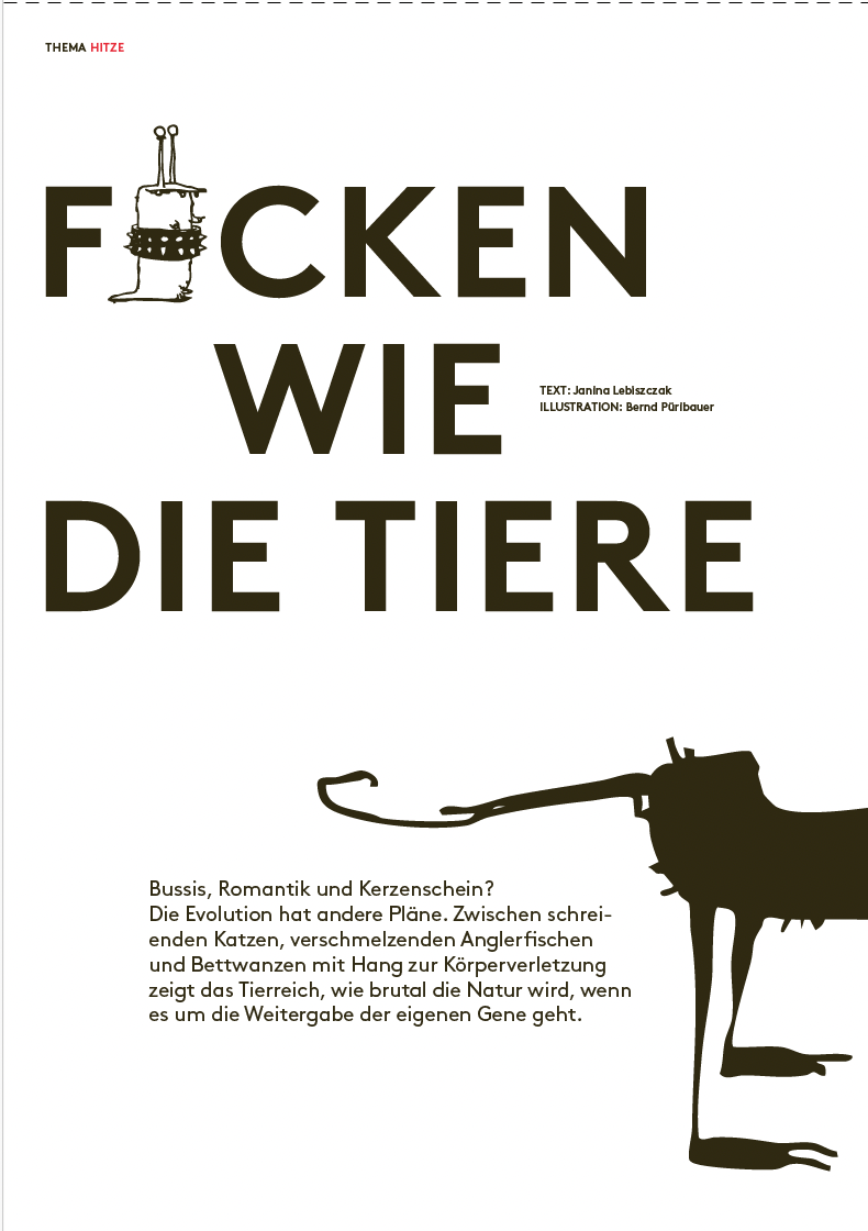 WIENER Ausgabe #467 - 2/2026