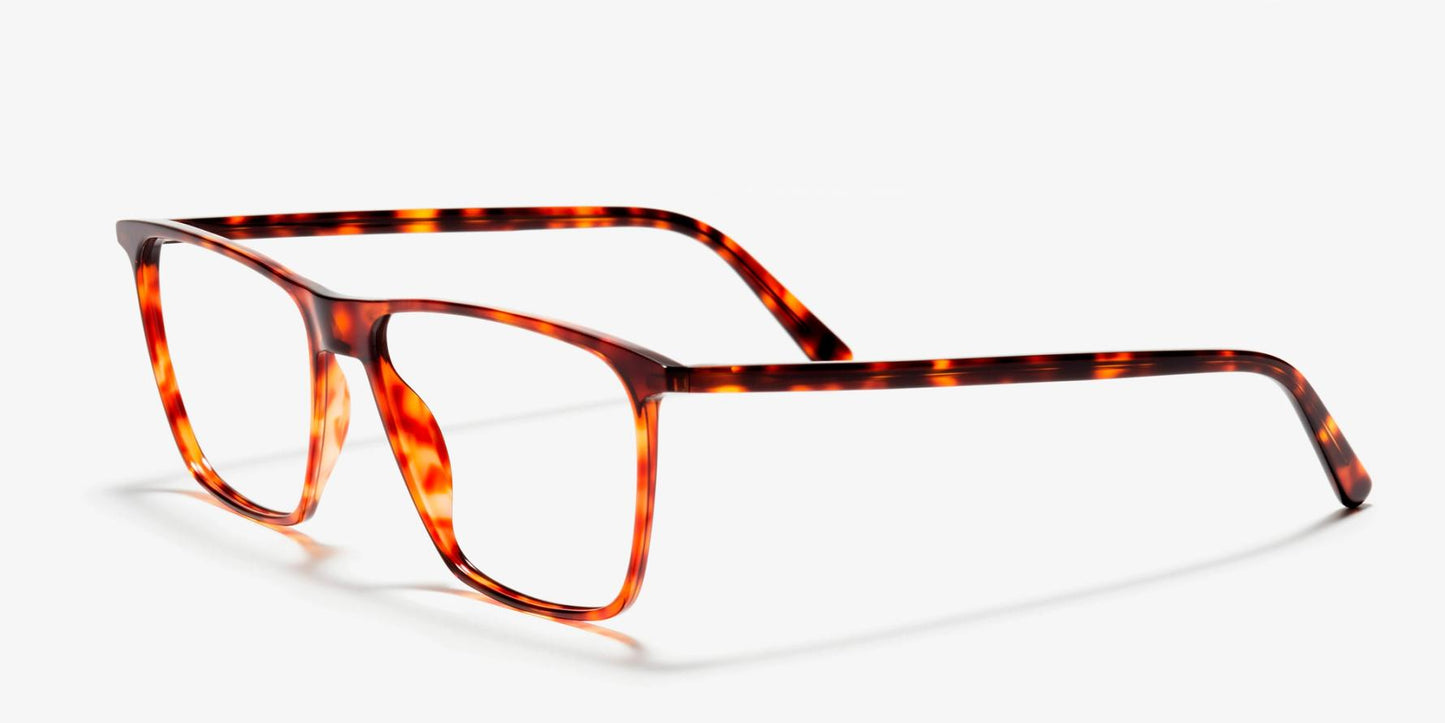 2 -Jahres-Abo um 120 € + VIU Frame "The Generous" Tortoise  (UVP: 185€)